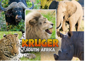 Kruger-National-Park