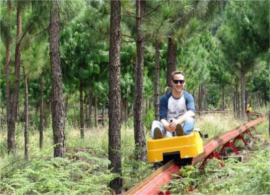 Nature-by-Rail-Toboggan