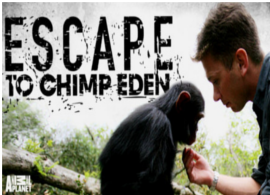 Visit-The-Chimp-Eden-